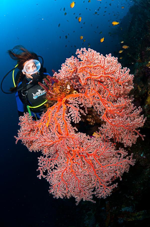 巴厘岛底栖生物及潜水胜地度假酒店 甘地达萨 外观 照片